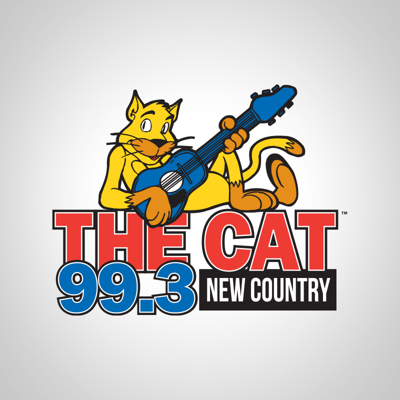 CAT993